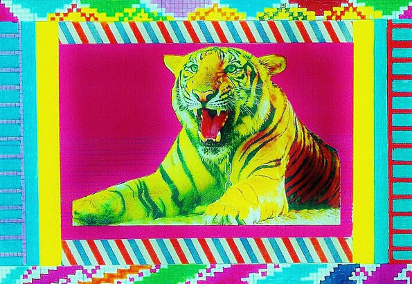 Neil Payne, Tiger 