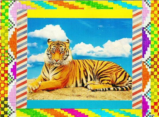 Neil Payne, Tiger