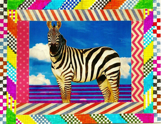 Neil Payne, Zebra